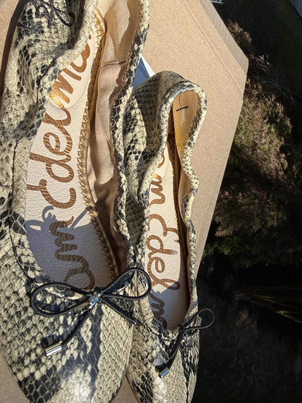 Sam Edelman Snakeskin Ballet Flats with Bow